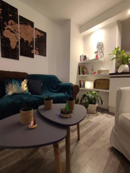 Gite Cosy Avec Avec Jardin Et Parking Privatifs - Hautes Vosges Saint-Amé Εξωτερικό φωτογραφία